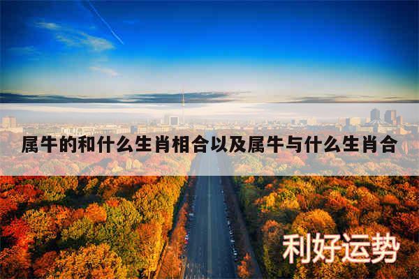 属牛的和什么生肖相合以及属牛与什么生肖合