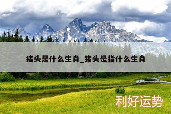猪头是什么生肖_猪头是指什么生肖
