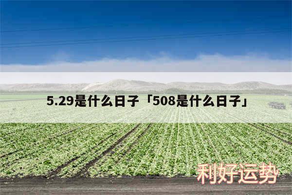 5.29是什么日子及508是什么日子