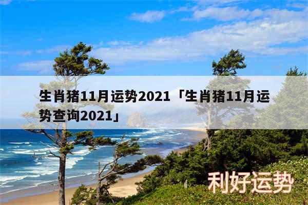 生肖猪11月运势2024及生肖猪11月运势查询2024