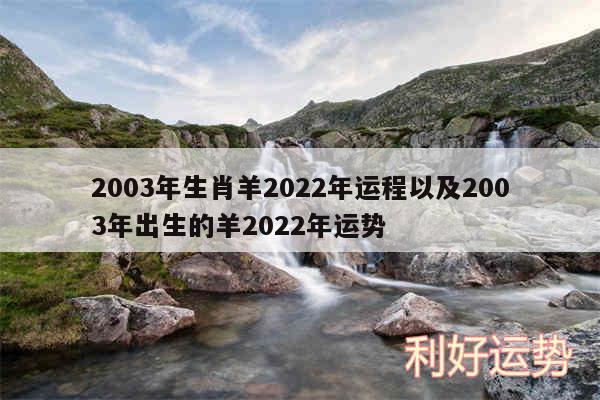 2003年生肖羊2024年运程以及2003年出生的羊2024年运势