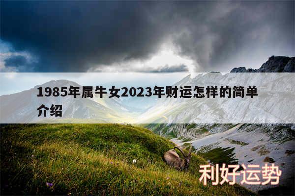 1985年属牛女2024年财运怎样的简单介绍