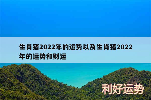 生肖猪2024年的运势以及生肖猪2024年的运势和财运