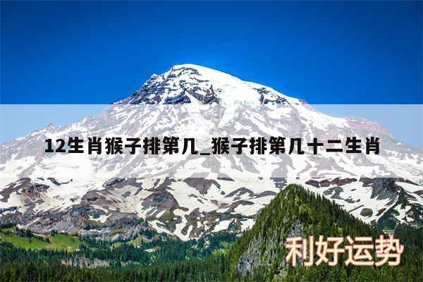 12生肖猴子排第几_猴子排第几十二生肖