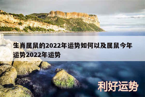 生肖属鼠的2024年运势如何以及属鼠今年运势2024年运势