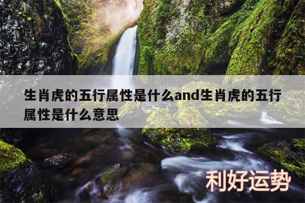 生肖虎的五行属性是什么and生肖虎的五行属性是什么意思