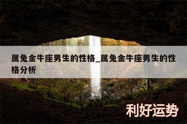 属兔金牛座男生的性格_属兔金牛座男生的性格分析