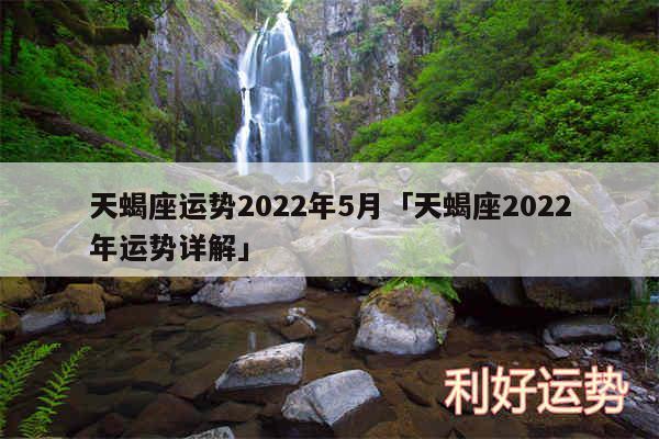 天蝎座运势2024年5月及天蝎座2024年运势详解