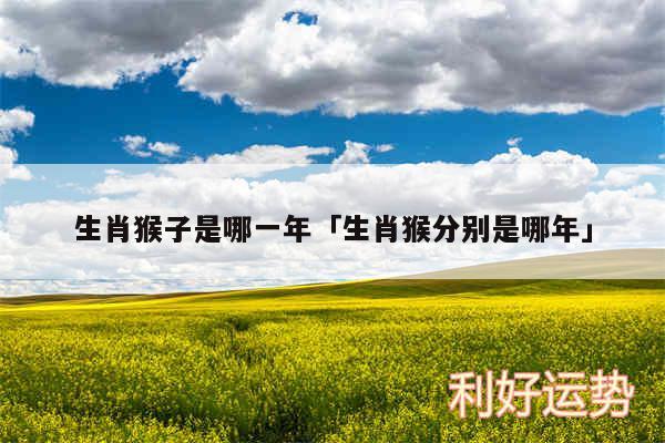 生肖猴子是哪一年及生肖猴分别是哪年