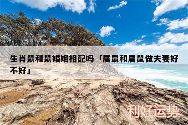 生肖鼠和鼠婚姻相配吗及属鼠和属鼠做夫妻好不好