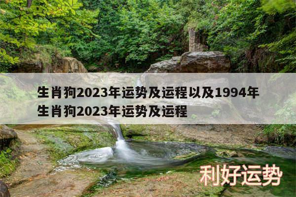 生肖狗2024年运势及运程以及1994年生肖狗2024年运势及运程