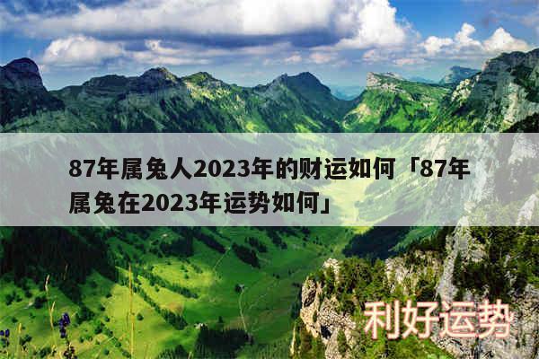 87年属兔人2024年的财运如何及87年属兔在2024年运势如何