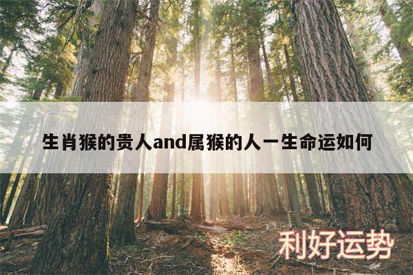 生肖猴的贵人and属猴的人一生命运如何