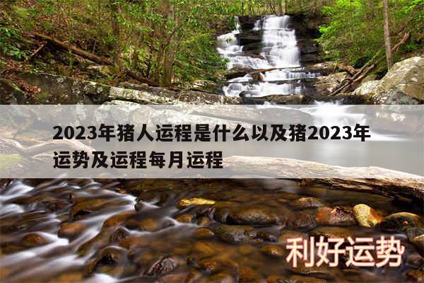 2024年猪人运程是什么以及猪2024年运势及运程每月运程