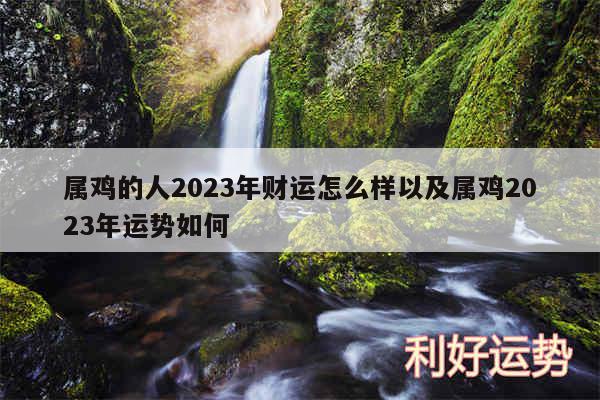 属鸡的人2024年财运怎么样以及属鸡2024年运势如何