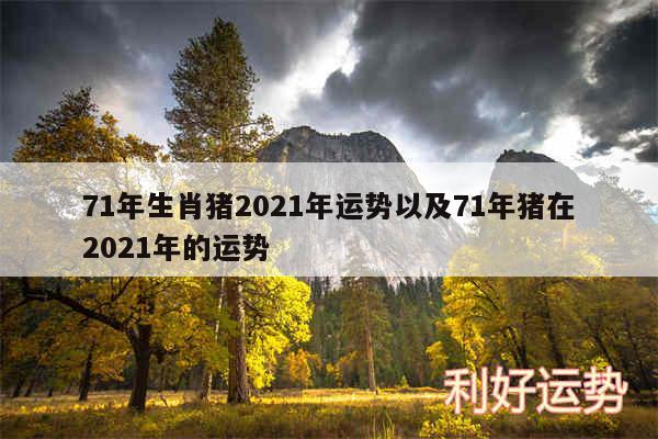 71年生肖猪2024年运势以及71年猪在2024年的运势