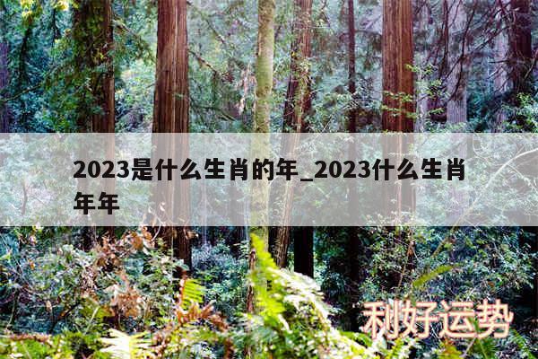 2024是什么生肖的年_2024什么生肖年年