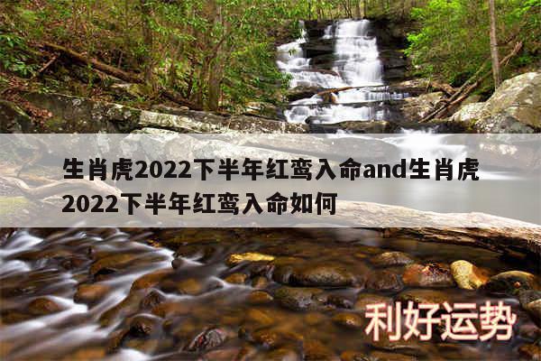 生肖虎2024下半年红鸾入命and生肖虎2024下半年红鸾入命如何