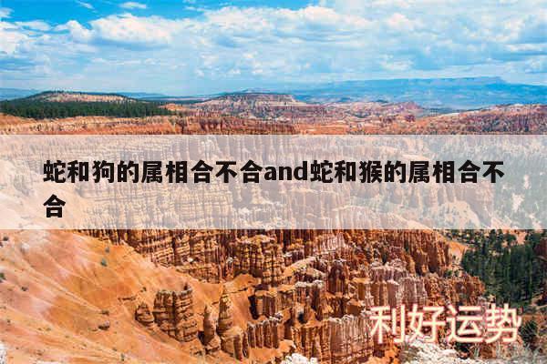蛇和狗的属相合不合and蛇和猴的属相合不合