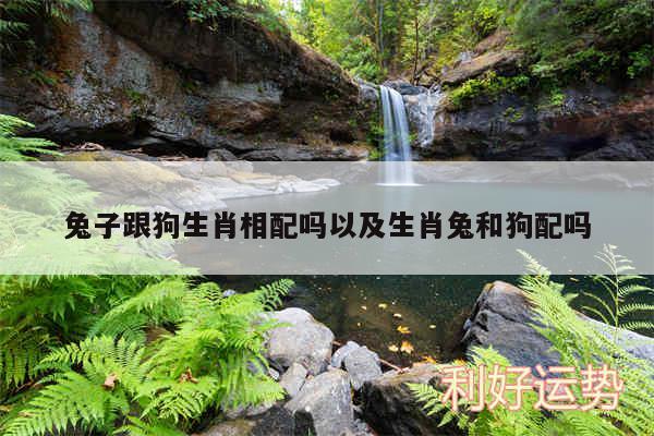 兔子跟狗生肖相配吗以及生肖兔和狗配吗