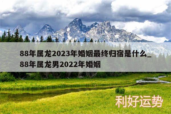 88年属龙2024年婚姻最终归宿是什么_88年属龙男2024年婚姻