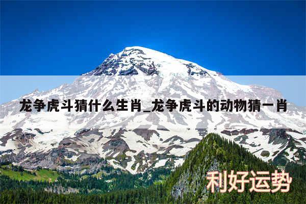 龙争虎斗猜什么生肖_龙争虎斗的动物猜一肖
