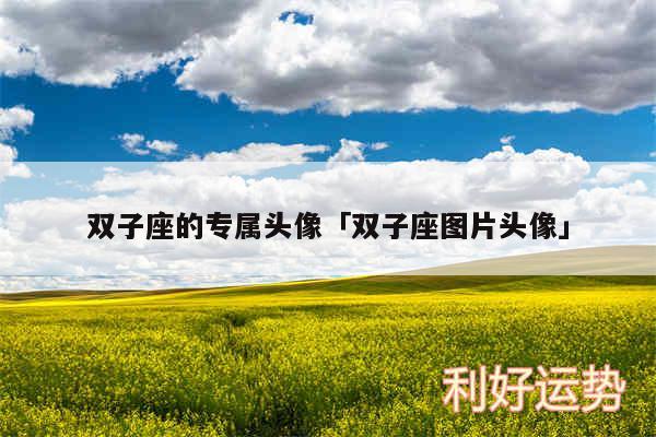 双子座的专属头像及双子座图片头像