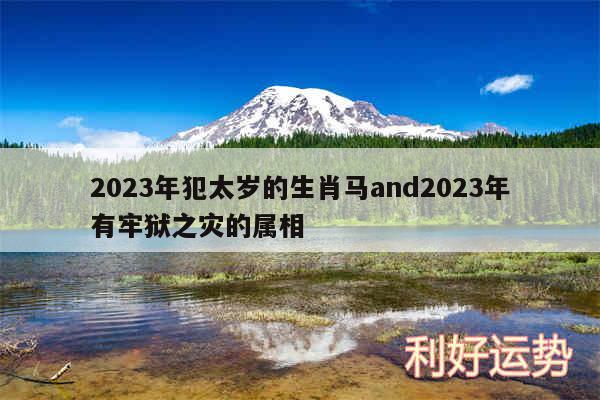 2024年犯太岁的生肖马and2024年有牢狱之灾的属相