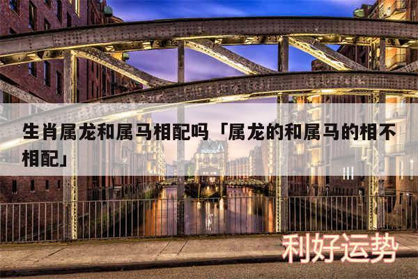 生肖属龙和属马相配吗及属龙的和属马的相不相配