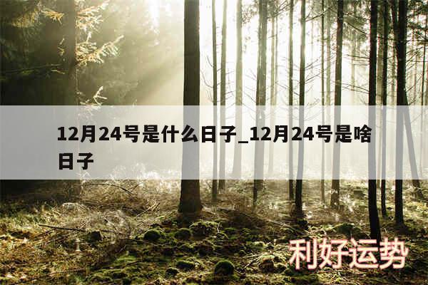 12月24号是什么日子_12月24号是啥日子