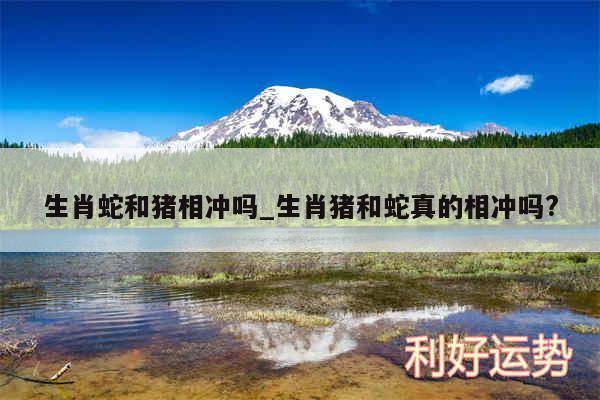 生肖蛇和猪相冲吗_生肖猪和蛇真的相冲吗?