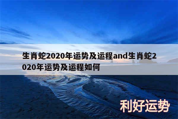 生肖蛇2020年运势及运程and生肖蛇2020年运势及运程如何