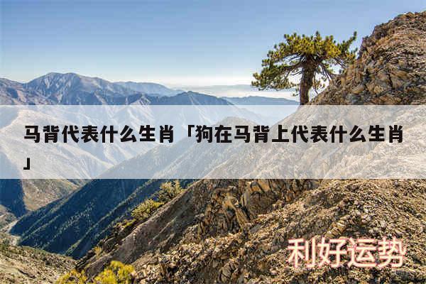马背代表什么生肖及狗在马背上代表什么生肖