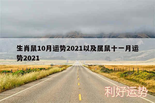 生肖鼠10月运势2024以及属鼠十一月运势2024