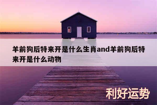 羊前狗后特来开是什么生肖and羊前狗后特来开是什么动物