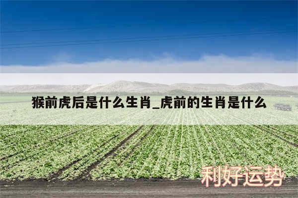 猴前虎后是什么生肖_虎前的生肖是什么