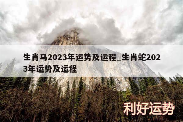 生肖马2024年运势及运程_生肖蛇2024年运势及运程