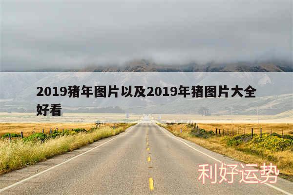 2019猪年图片以及2019年猪图片大全好看