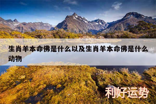 生肖羊本命佛是什么以及生肖羊本命佛是什么动物