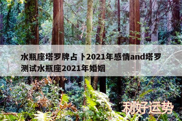 水瓶座塔罗牌占卜2024年感情and塔罗测试水瓶座2024年婚姻