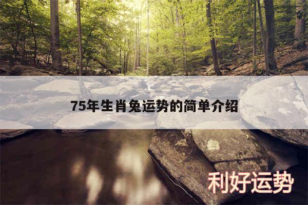 75年生肖兔运势的简单介绍