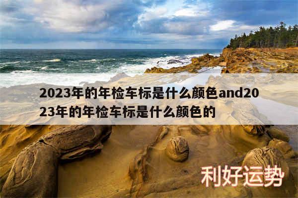 2024年的年检车标是什么颜色and2024年的年检车标是什么颜色的