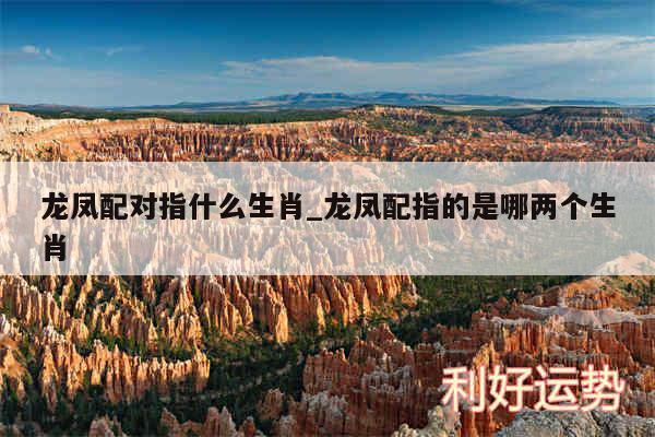 龙凤配对指什么生肖_龙凤配指的是哪两个生肖