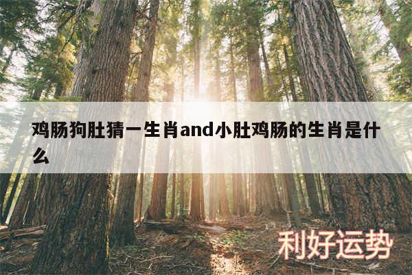 鸡肠狗肚猜一生肖and小肚鸡肠的生肖是什么