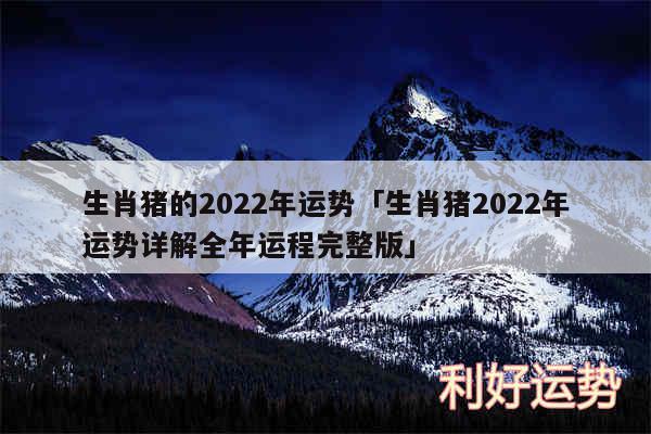 生肖猪的2024年运势及生肖猪2024年运势详解全年运程完整版