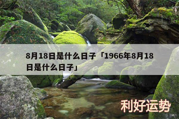 8月18日是什么日子及1966年8月18日是什么日子