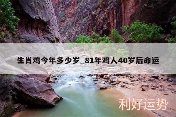 生肖鸡今年多少岁_81年鸡人40岁后命运
