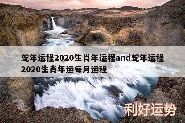 蛇年运程2020生肖年运程and蛇年运程2020生肖年运每月运程