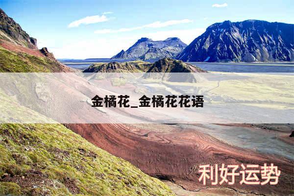 金橘花_金橘花花语