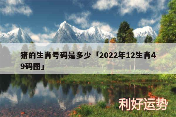 猪的生肖号码是多少及2024年12生肖49码图